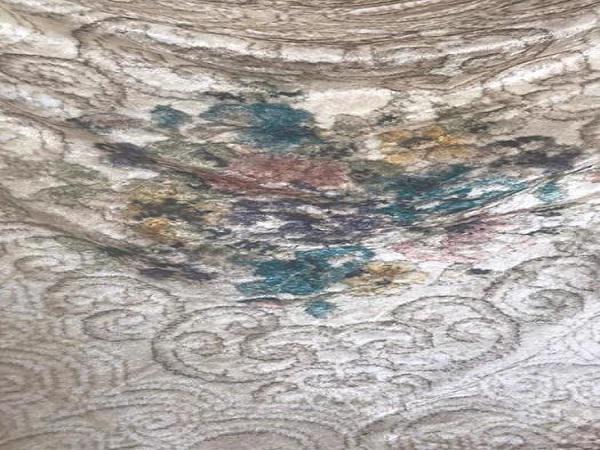 پخش کننده روفرشی جدید شیک